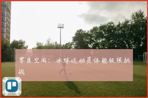 零度空间：冰球运动员体能极限挑战