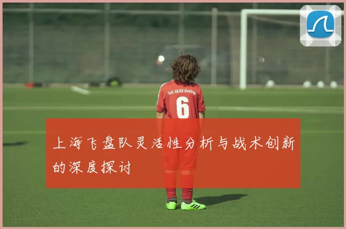 上海飞盘队灵活性分析与战术创新的深度探讨