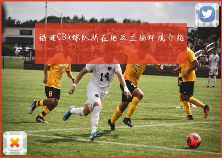 福建CBA球队所在地及主场环境介绍