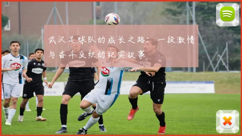 武汉足球队的成长之路：一段激情与奋斗交织的纪实故事