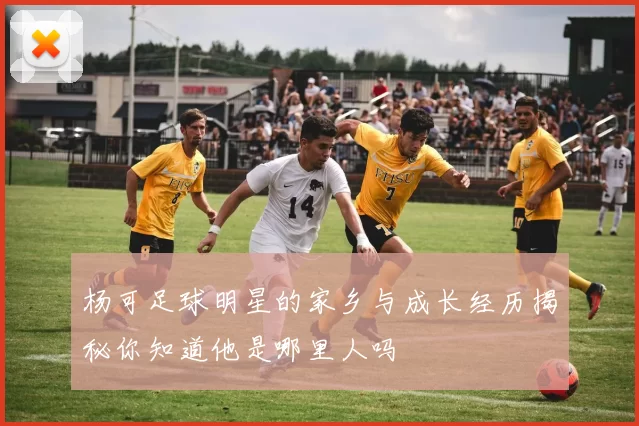 杨可足球明星的家乡与成长经历揭秘你知道他是哪里人吗