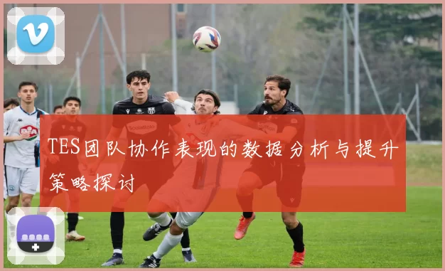 TES团队协作表现的数据分析与提升策略探讨