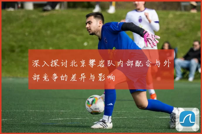 深入探讨北京攀岩队内部配合与外部竞争的差异与影响