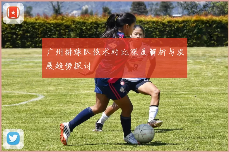 广州排球队技术对比深度解析与发展趋势探讨