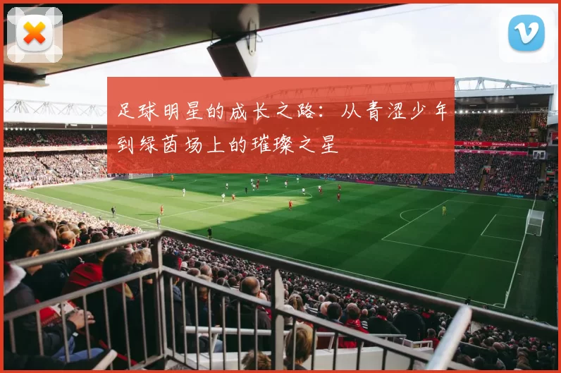 足球明星的成长之路：从青涩少年到绿茵场上的璀璨之星