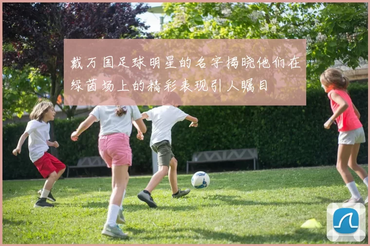 戴万国足球明星的名字揭晓他们在绿茵场上的精彩表现引人瞩目